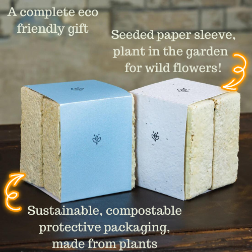 SOS Aromatherapy Candles - SALE! Special Edition - Joyeux Noel - Clove, Mandarin Orange, Cinnamon, Nutmeg